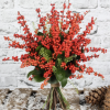 Buy Red Cluster Berry.jpg