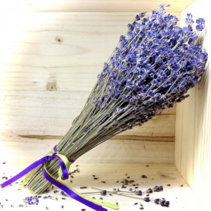 Buy Dried Lavender Bunches