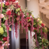 Buy Amaranthus seeds