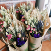 Dried Nigella Pods.jpg