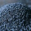 Blue Poppy Pods Seeds.jpg