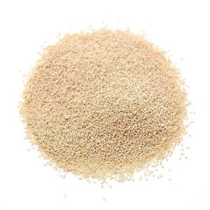 White poppy seeds.jpg