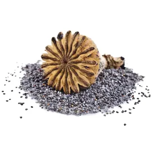 Poppy pod seeds